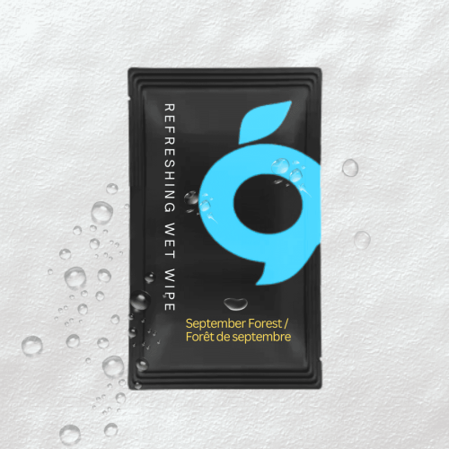 September_Forest_JSR_Amenities_Pvt_Ltd_Premium_Wet_Wipes_for_Hotels_and_Hospitality A pack of September Forest wet wipes, a premium hygiene product by JSR Amenities Private Limited, designed for luxury hotels and hospitality use, ensuring cleanliness and freshness.